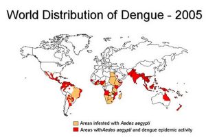 DF distribution